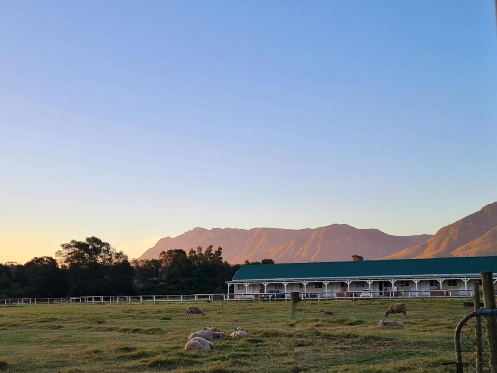 Blue Mountain Farm Lodge, & Bed & Breakfast