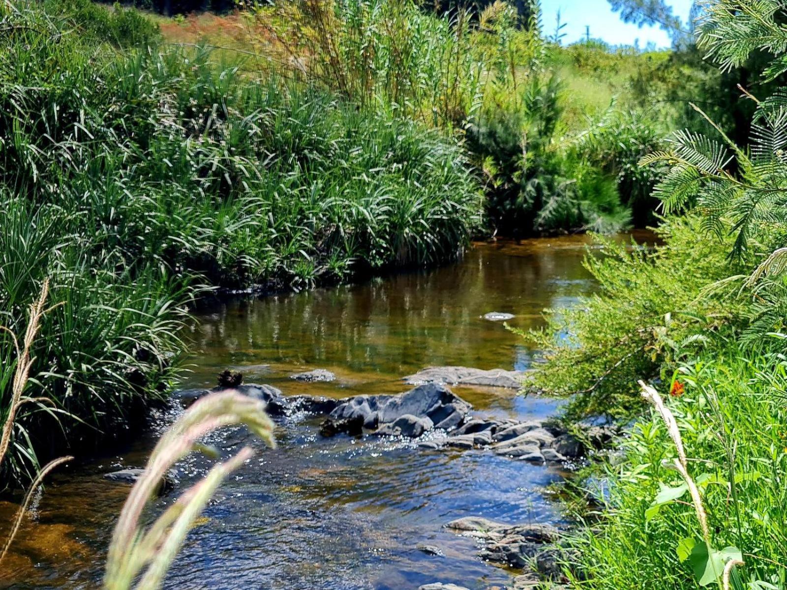 Blue Mountain Farm Lodge, & Swellendam